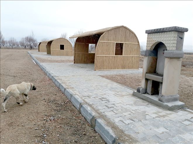 Sultan Sazlığı´nda 8 Kamelya Yapıldı