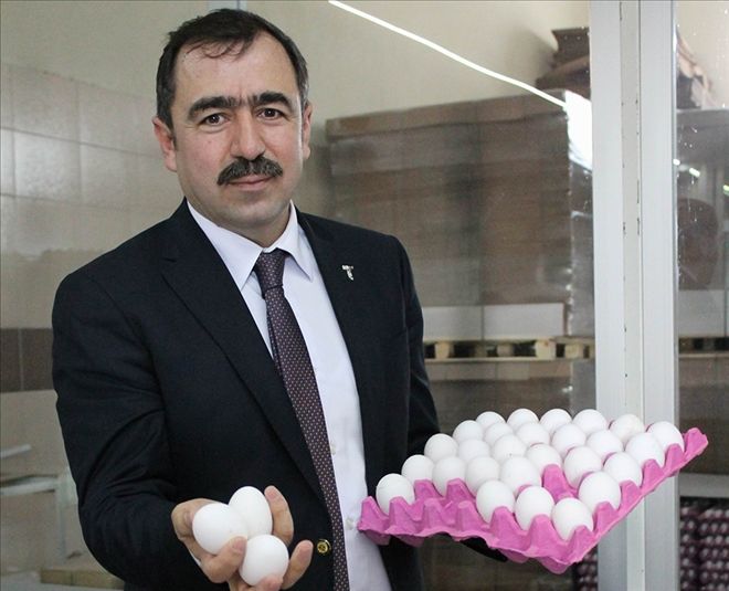 ?Yumurta fiyatlarının artış nedeni marketlerin fiyat politikası