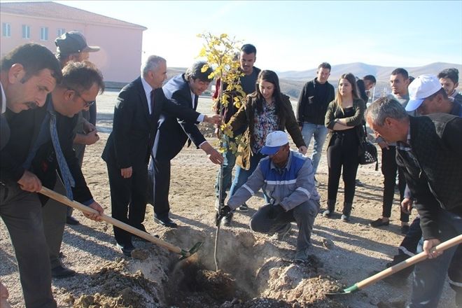 Pınarbaşı´nda her öğrencinin dikili bir ağacı olacak 