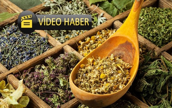 Uzmanlar reddediyor, aktarlar yere göğe sığdıramıyor
