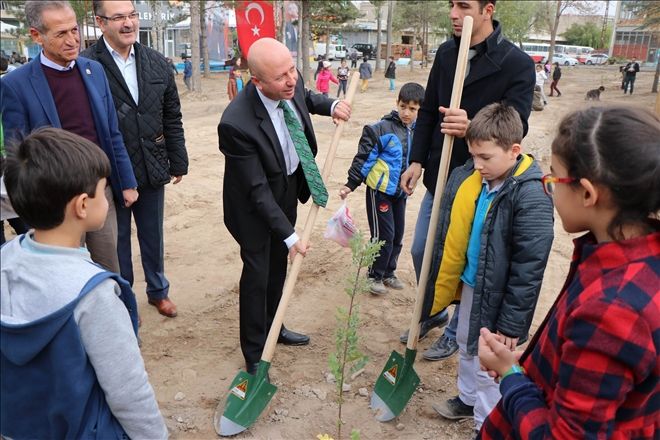 Öğrencilerin büyüttüğü fidanlar toprakla buluştu 