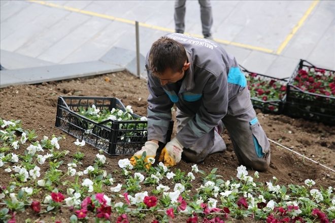 Melikgazi 40 bin adet lale soğanı aldı 