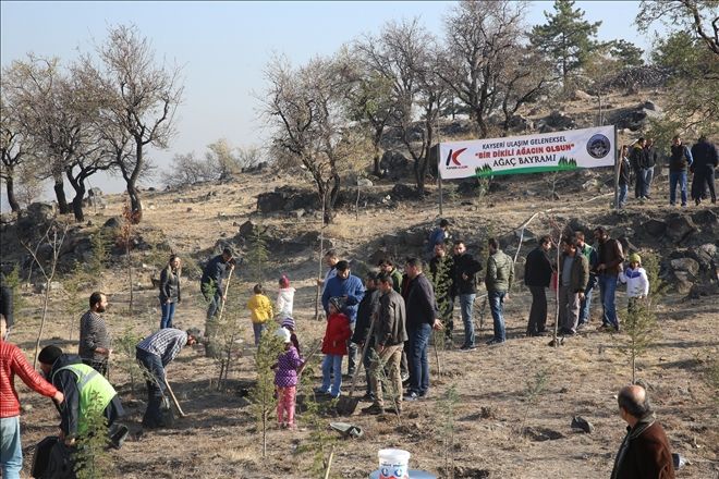 Ulaşım A.Ş. 500 fidanı toprakla buluşturdu 