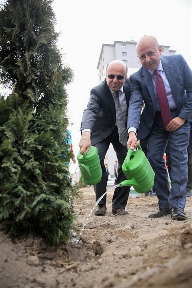 Kocasinan, bu sefer diyabet farkındalığı için ağaç dikti 