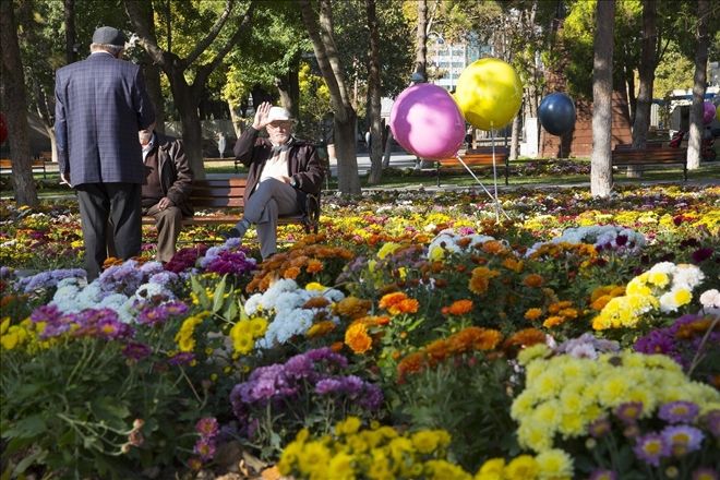 Sonbahar´da 374 bin 500 adet kasımpatı ve menekşe dikimi yapıldı 