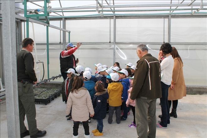 Anasınıfı öğrencilerinden Sivas Orman Fidanlık Müdürlüğü´ne ziyaret 