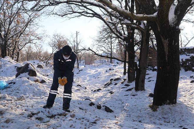 Talas Belediyesi kış soğuklarında sokak hayvanlarını unutmadı 