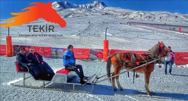 Erciyes´de atlı kızak keyfi