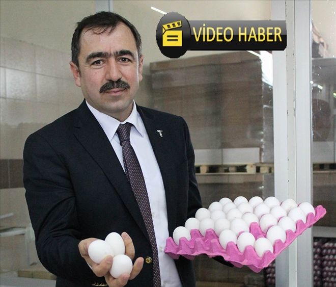 ?Türk tavuğu üzerinde oyun oynuyorlar? 