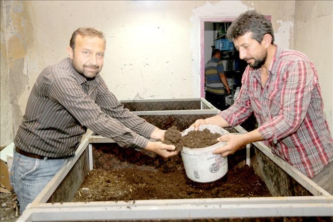 Melikgazi Belediyesi solucan gübresi üretiyor