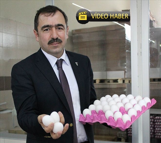 Gezen tavuk yumurtasında büyük aldatmaca