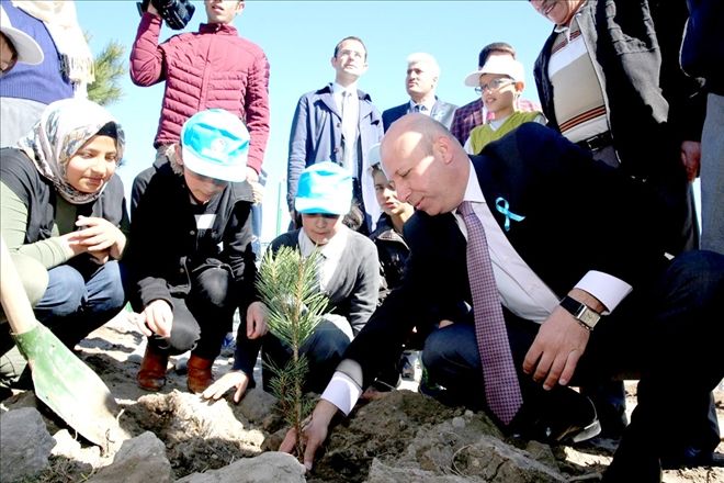 Başkan Çolakbayrakdar, daha yeşil bir Kocasinan için ağaç dikti