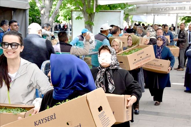 Vatandaşlar belediyenin dağıttığı domates fidelerine akın etti