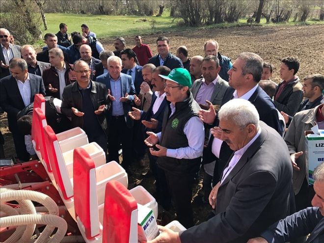 Pınarbaşı´nda pancar tohumları toprakla buluştu