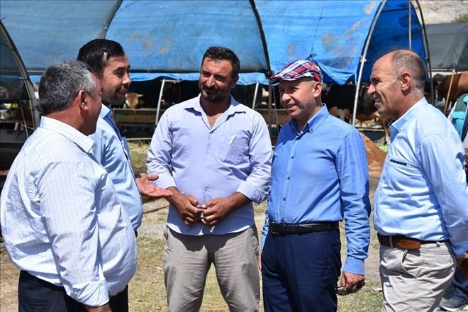 Başkan Çolakbayrakdar, kurban kesim yerlerinde