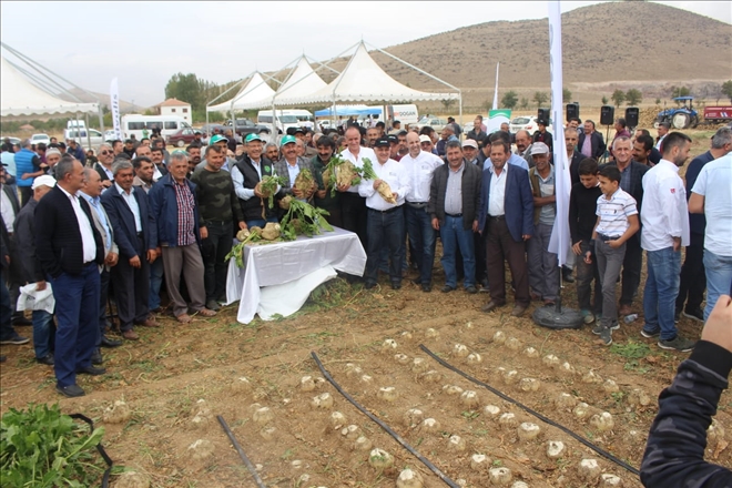 DAMLA SULAMA İLE ŞEKER PANCARINDA VERİM ARTIŞI SAĞLANIYOR