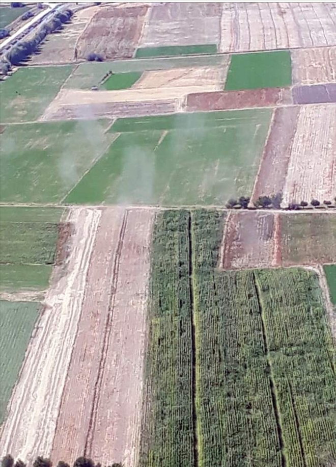 Jandarma son 1 yılda 5 ton esrarın piyasaya sürülmesini engelledi 