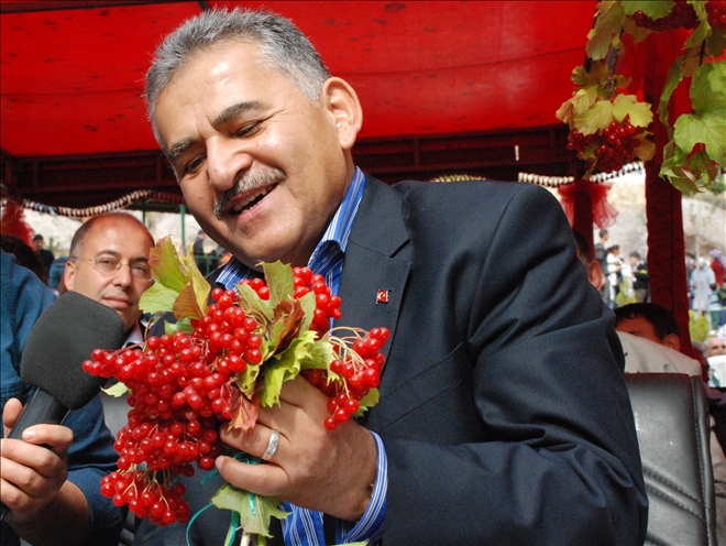 Melikgazi Ceviz ve Gilaboru Şenliği bugün başlıyor