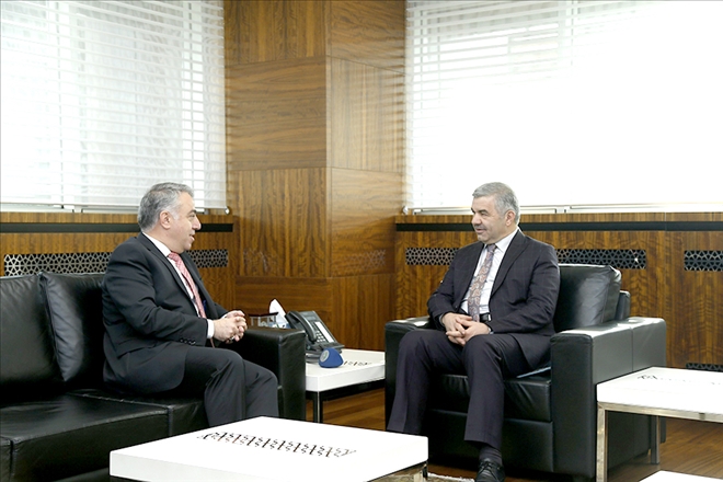 Çelik: 