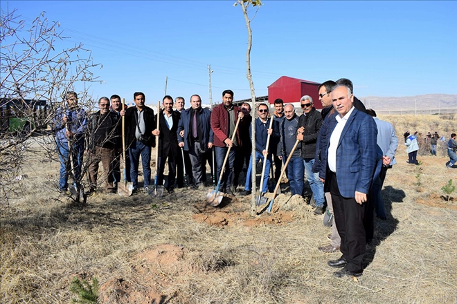 Hizmet-İş Hatıra Ormanı büyüyor 