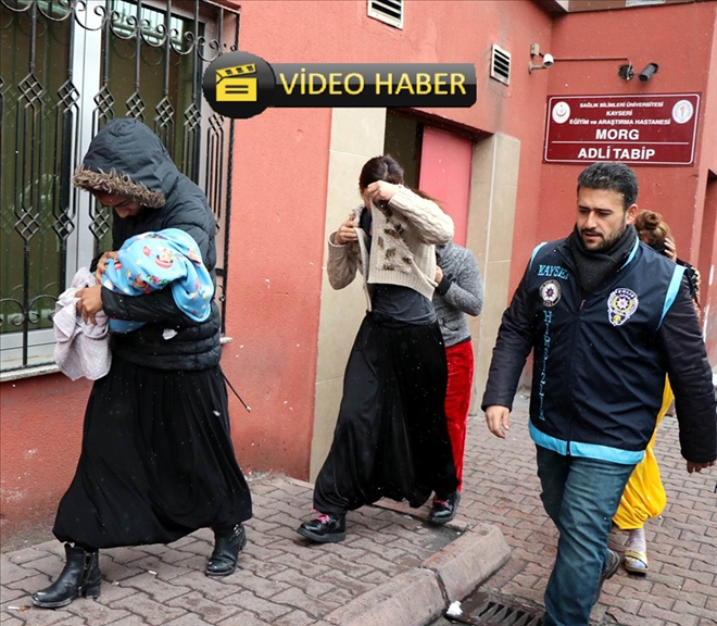 Ev fareleri yakalandı 