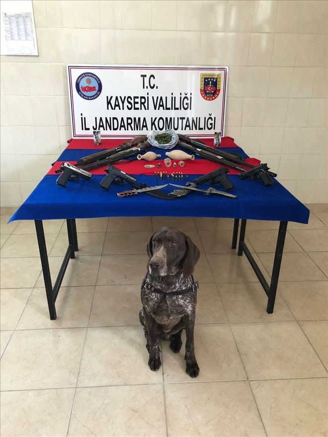 Jandarmadan silah kaçakçılığı operasyonu: 10 gözaltı 