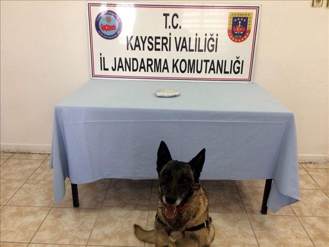 Jandarma uyuşturucu tacirlerine göz açtırmıyor 