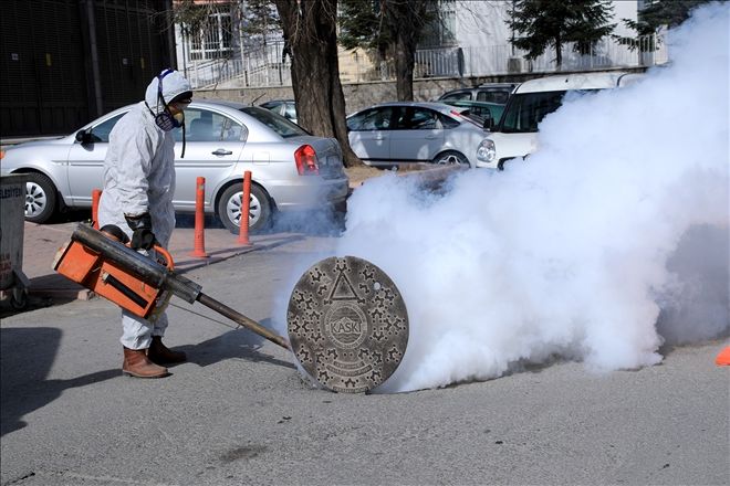 Talas´ta haşereyle mücadele çalışmaları başladı 