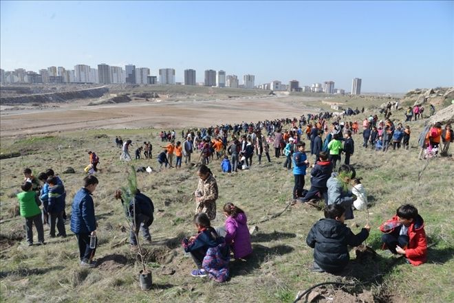 Melikgazi´de 25 bin fidan toprakla buluşacak 