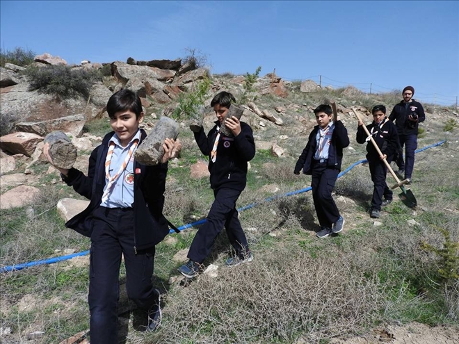 İzciler, fidan dikti 