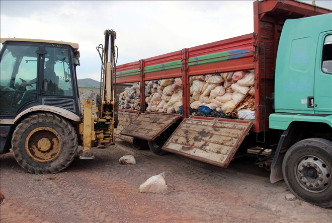 Kayseri´de ele geçirilen 14 ton kaçak sakatat imha edildi 