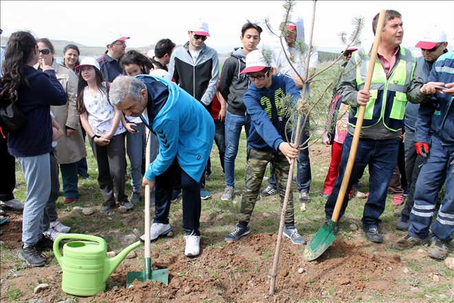 20 bin kişinin katılımıyla 10 bin fidan toprak ile buluştu 