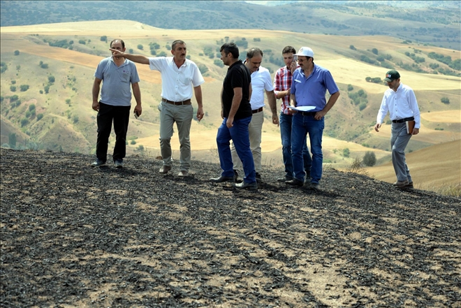 Felahiye´de 540 dekar alan yangında zarar gördü 