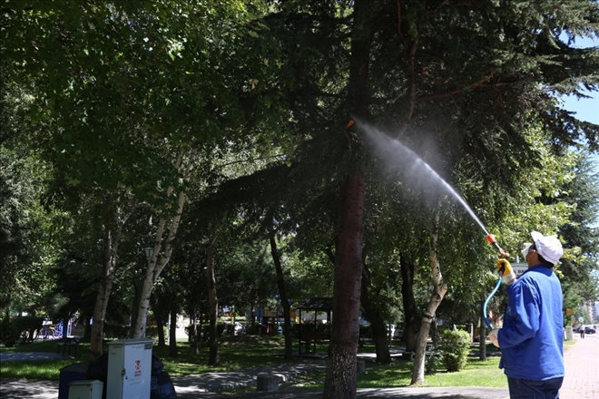 Melikgazi´de ağaç ve parklarda sürekli ilaçlama 