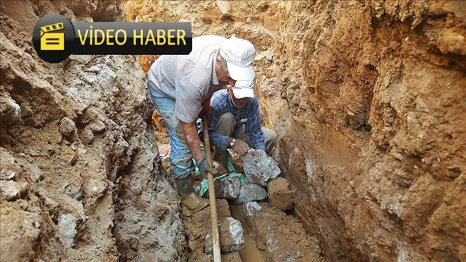 Kendilerini yabani hayvanlara adadılar 
