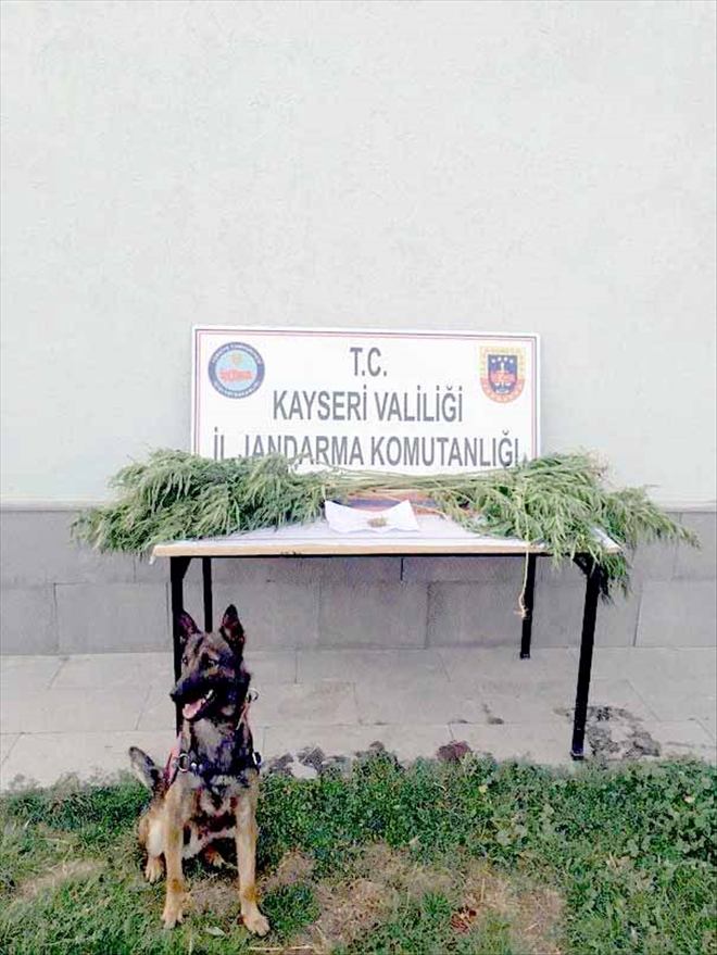 Jandarma bayramda da uyuşturucuya geçit vermedi 