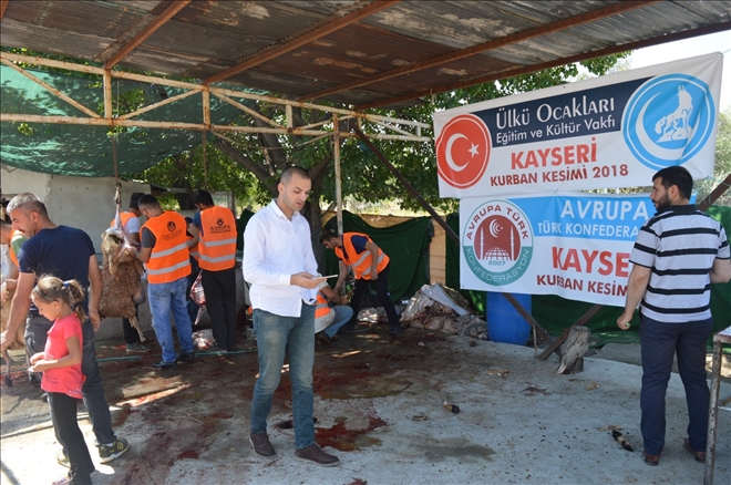 Ülkü Ocakları Kayseri İl Başkanlığı 100 kurban kesti 