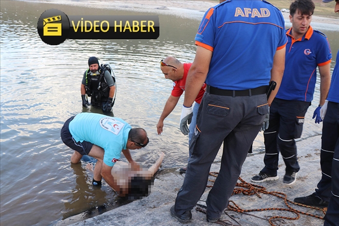 Gençlerin safari macerası faciayla son buldu 