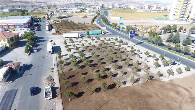 Melikgazi Anbar Mahallesi´nde 12 bin metrekarelik alanı çimlendirdi 