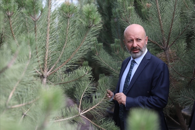Kocasinan yeşilleniyor, Kayseri güzelleşiyor 