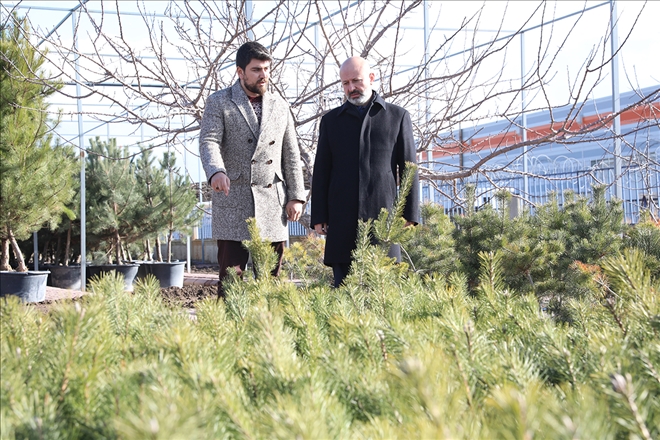 Kayseri´nin yeşil örtüsü Kocasinan´da filizleniyor 