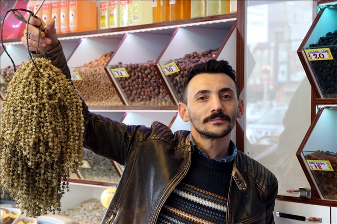 Bamya zamlardan etkilenmedi 