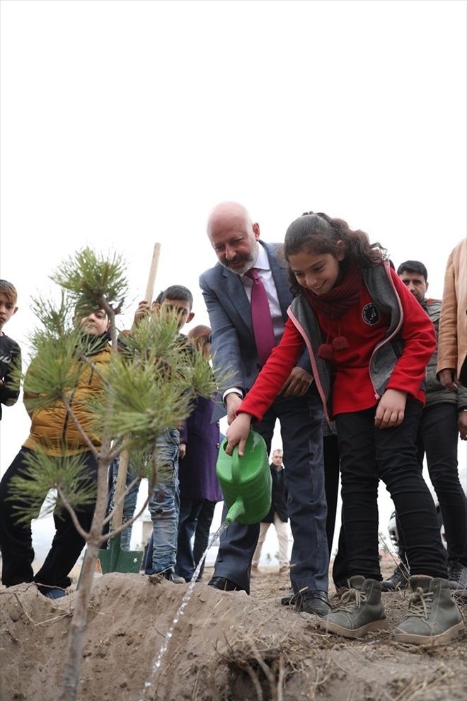 Kocasinan Belediyesi yeşil alan rekorunu kırdı 