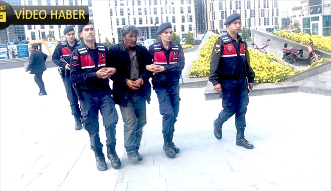 Jandarma hayvan hırsızlarını böyle yakaladı 