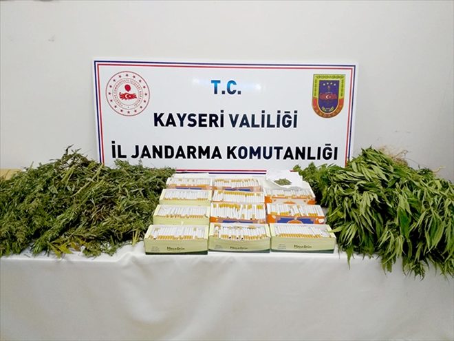 Jandarmadan uyuşturucu operasyonu 