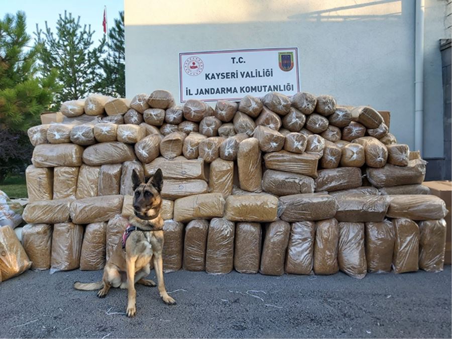 Kargo aracında 6 ton 280 kilogram tütün ele geçirildi 