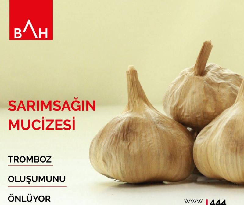 Sarımsağın kolesterol ve glikoza etkisi