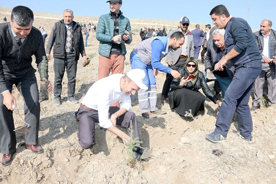 Yarınlara Nefes Olmak İçin Yahyalı’da 11 Bin Fidan Dikildi 