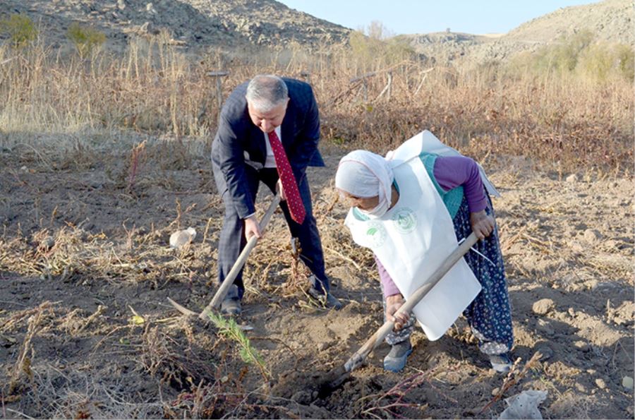 Asırlık nine 