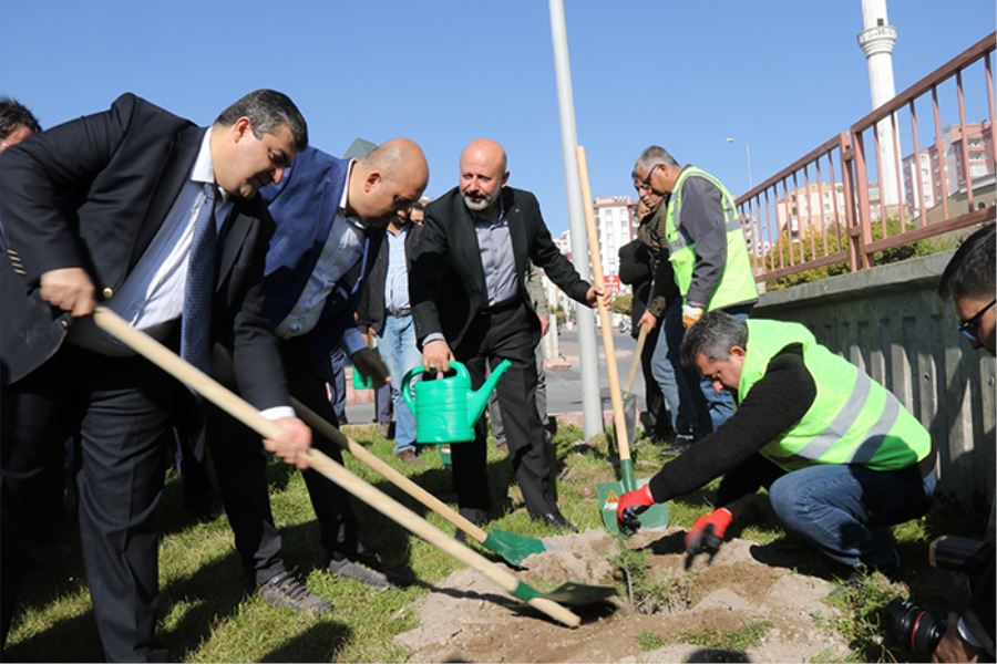 Kayseri Devlet Hastanesi tarafından 620 fidan dikildi 